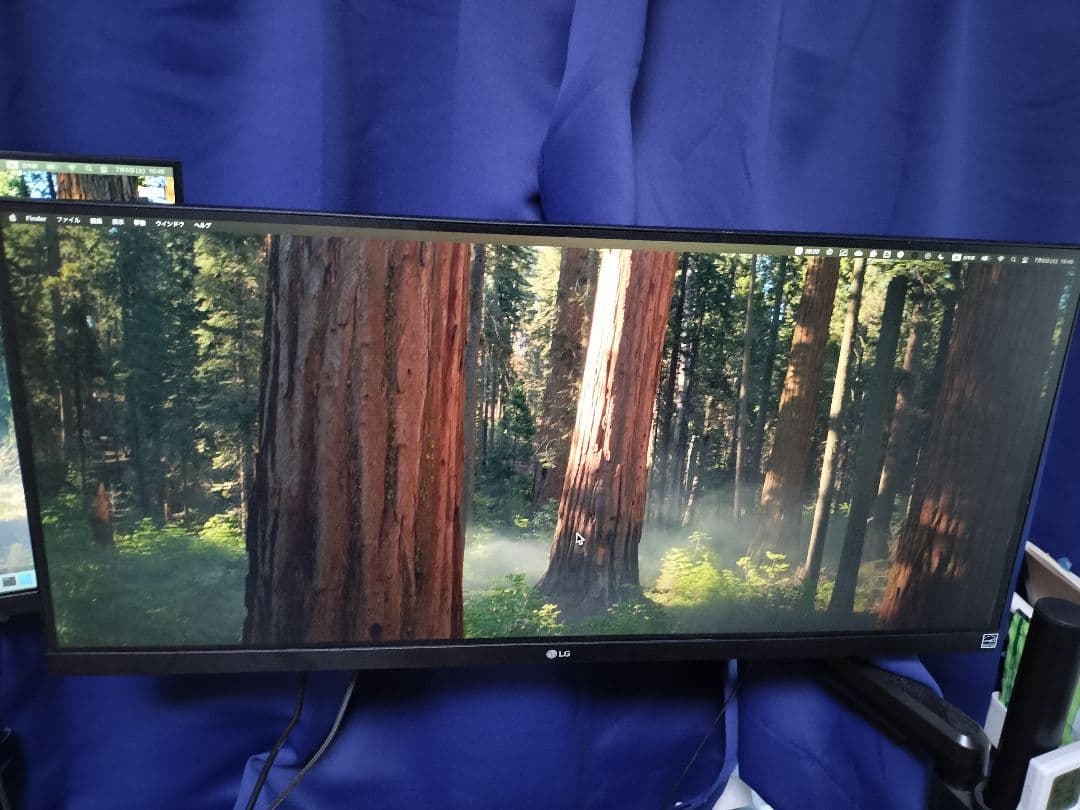 O*E様 LG UltraWide Monitor 29WP500　29㌅　ワイ