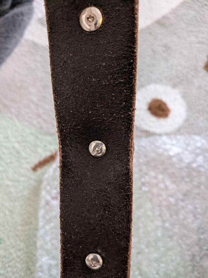 モルガンダラー12枚その他2枚 コンチョベルト