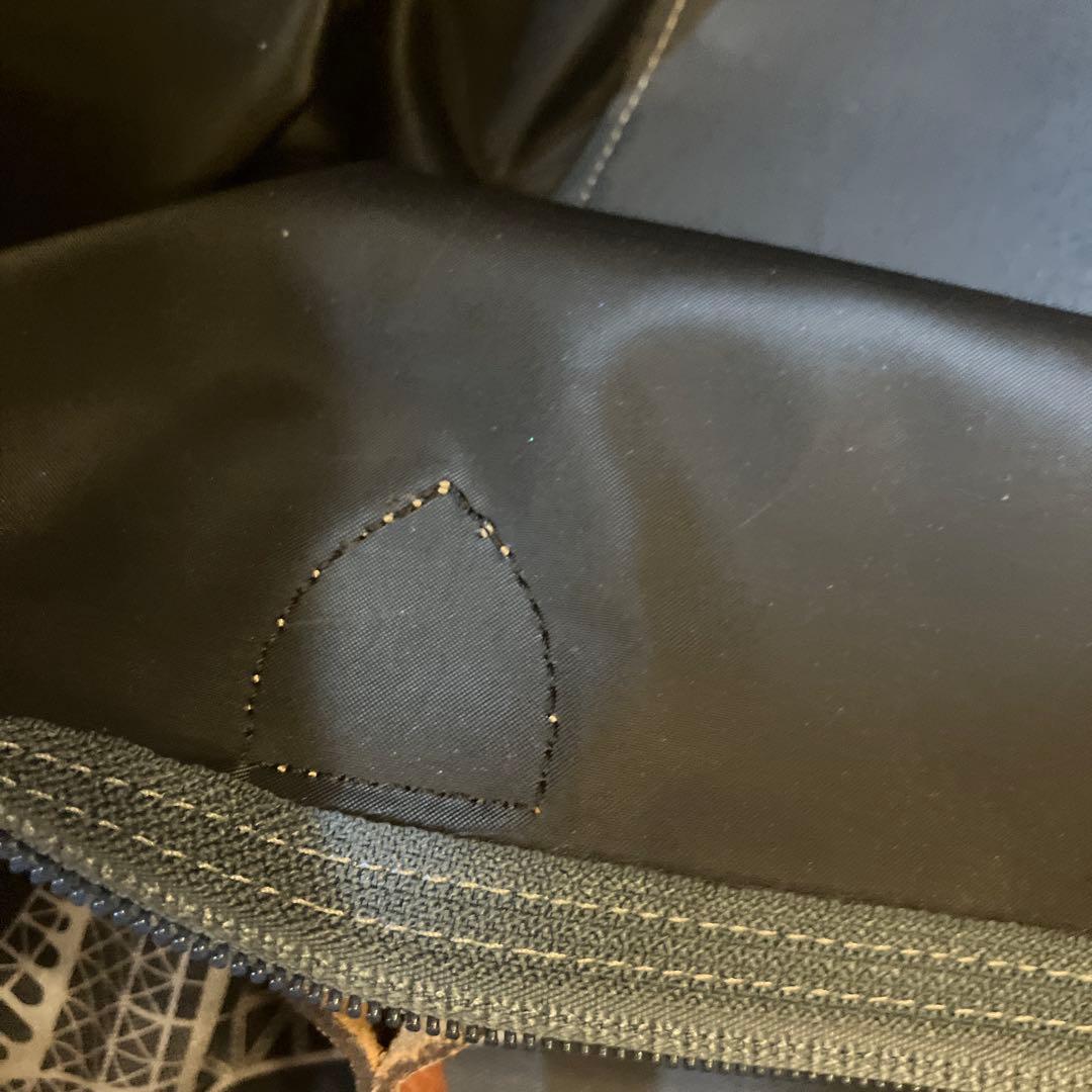 ロンシャン　パリ限定　ルプリアージュL