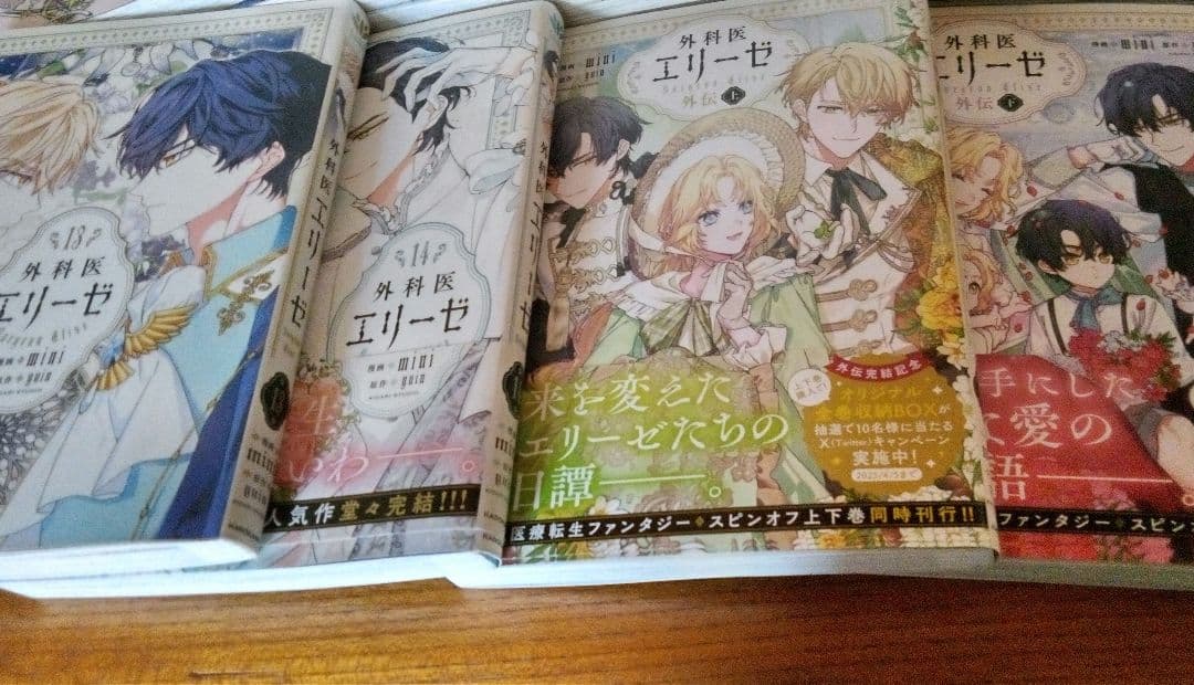 外科医エリーゼ　全14巻と外伝上下巻セット