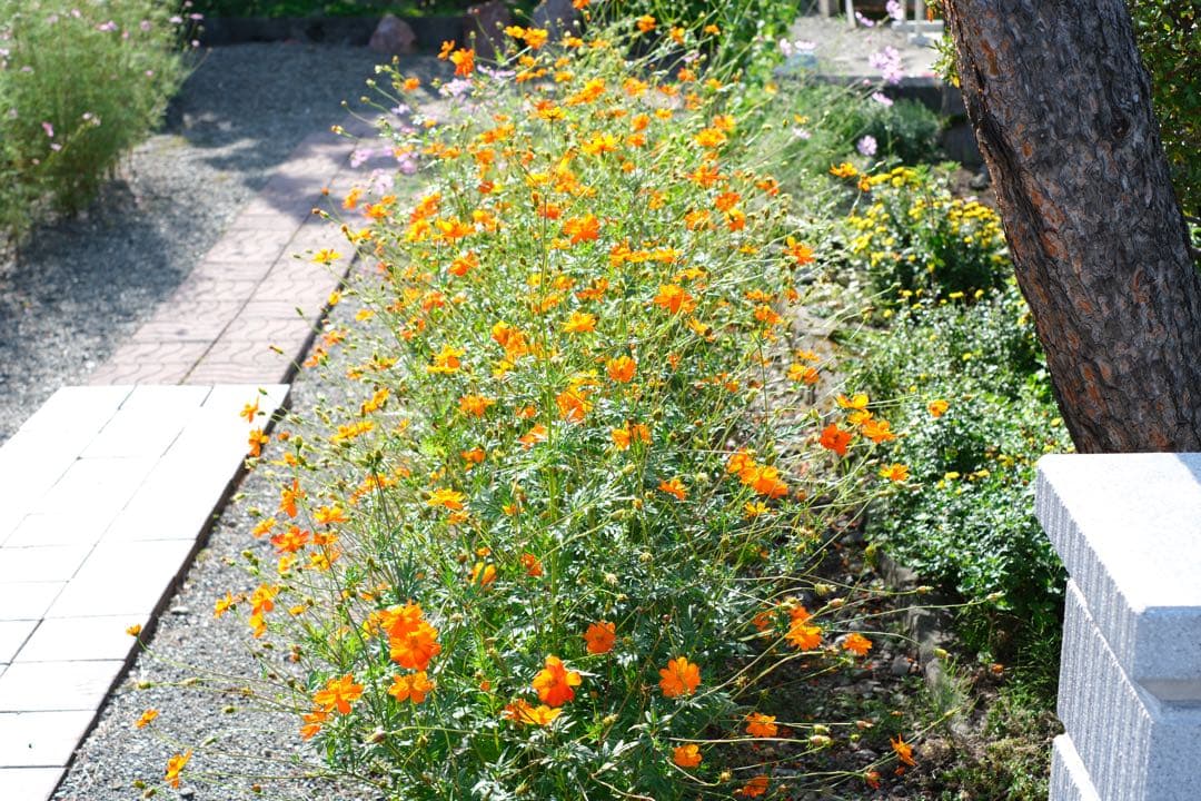 【付属品完備！美品】富士フィルム XF35mm 1.4 R