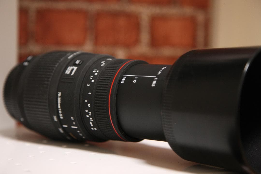 o*l様 SIGMA APO DG 70-300mm F4-5.6 ニコン用