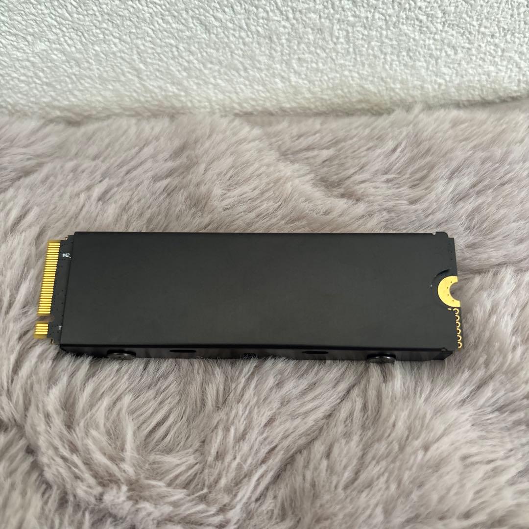 SIX NVMe M.2 SSD PCIe 4.0 2TB ヒートシンク付き