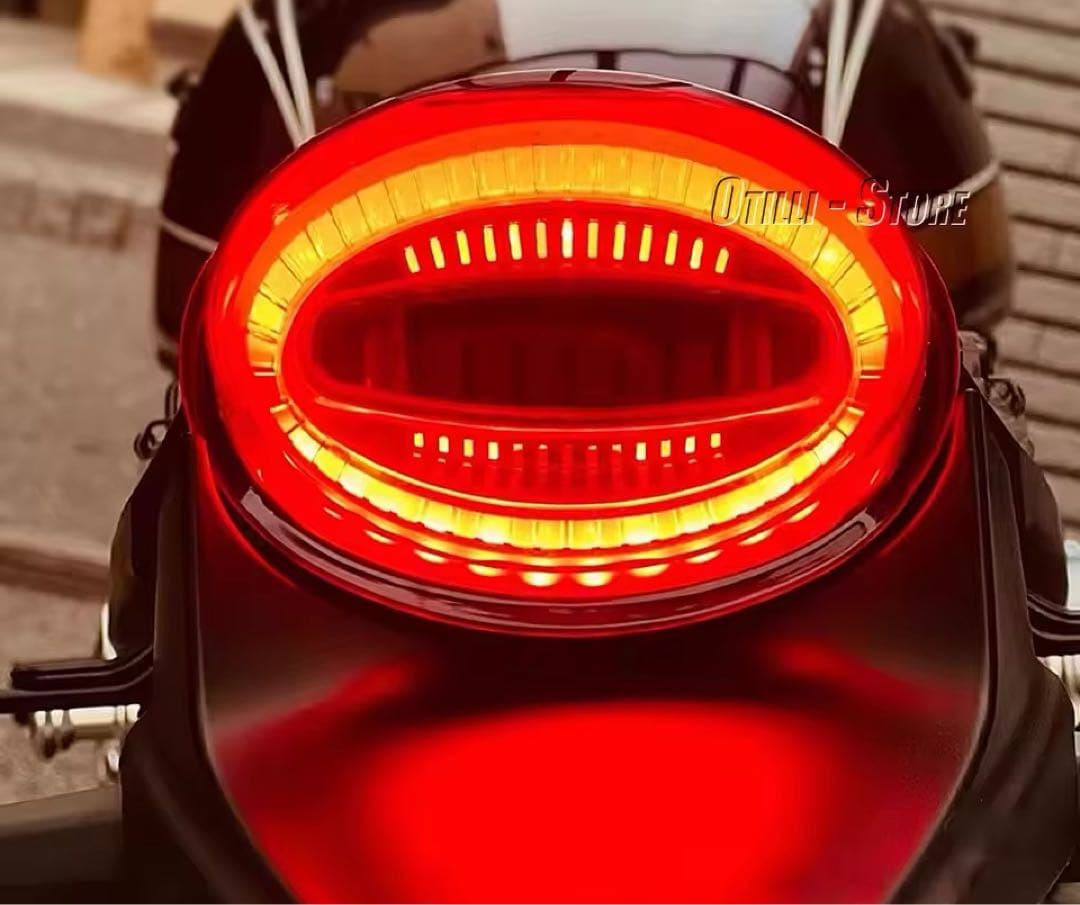 z900rs ルミナスLEDテールランプユニット　限定１個