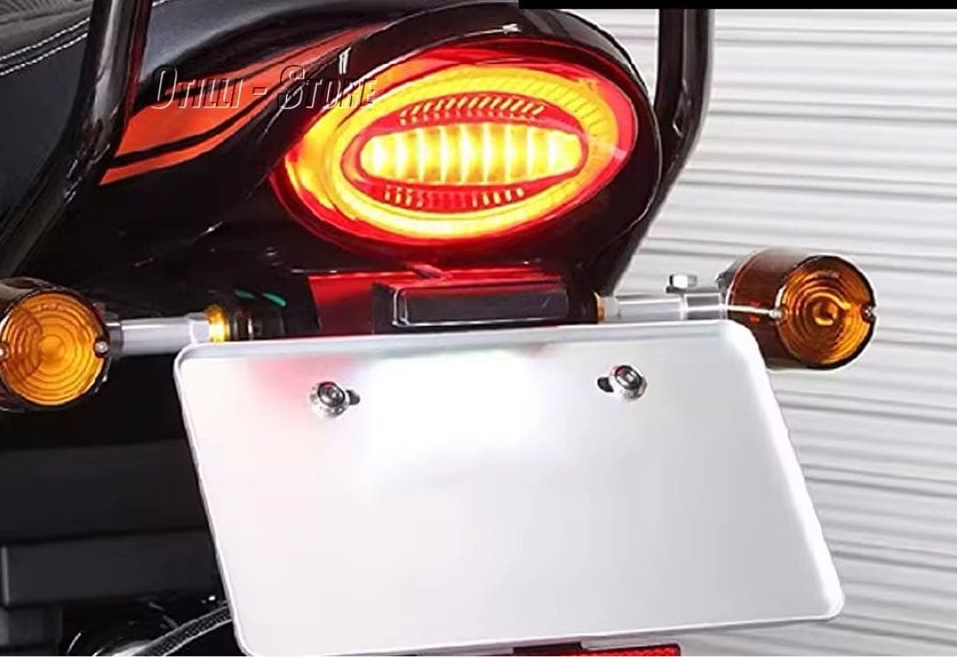 z900rs ルミナスLEDテールランプユニット　限定１個