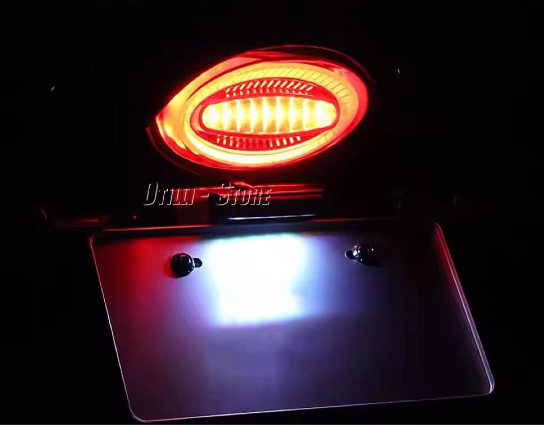 z900rs ルミナスLEDテールランプユニット　限定１個