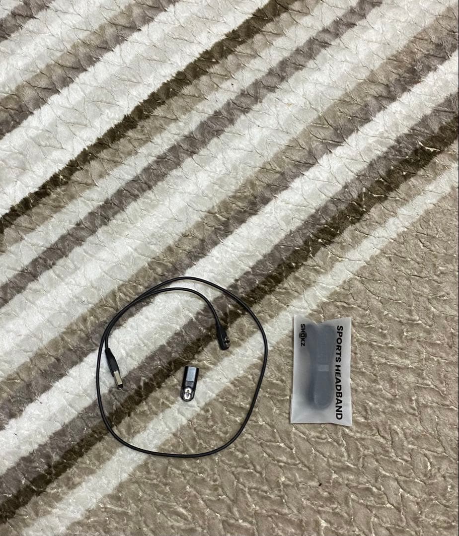 SHOKZ OPENRUN PRO Mini 骨伝導イヤホン 専用ケース付き