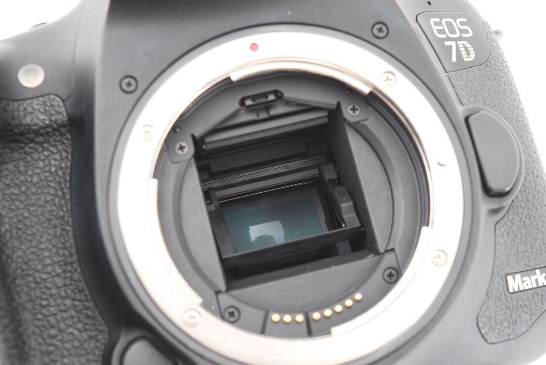 一眼レフカメラCanon EOS 7D Mark II 標準&望遠レンズセット