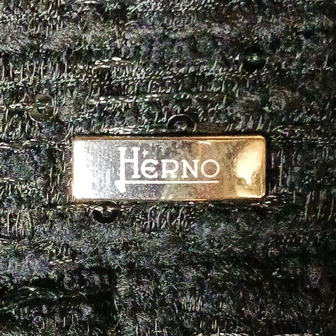 ✨美品✨HERNO　スパンコール　ハイネック　ジャガードダウンジャケット 46