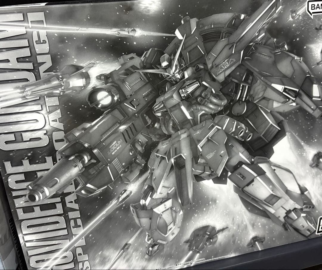 MG 1/100 プロヴィデンスガンダム スペシャルコーティング