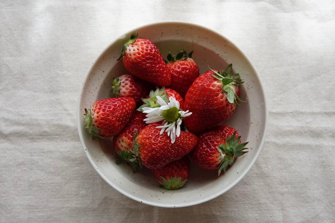 SONY α6500 & SIGMA 30mm F1.4 DC DN + おまけ