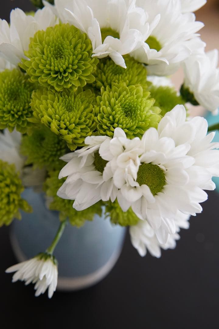 SONY α6500 & SIGMA 30mm F1.4 DC DN + おまけ