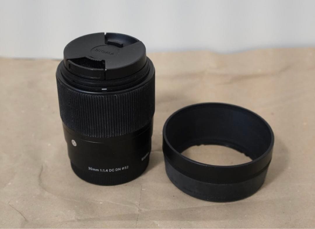 SONY α6500 & SIGMA 30mm F1.4 DC DN + おまけ