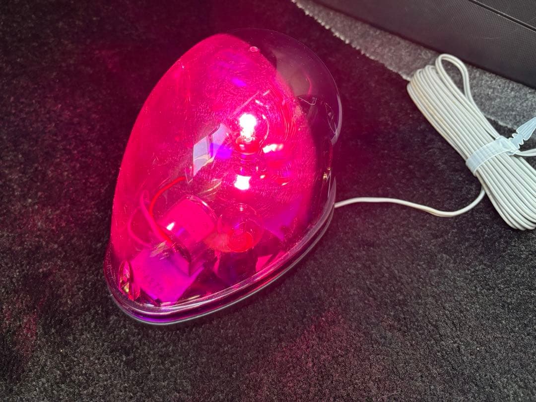 【aaa】【動作確認済】トヨタ純正　ウォーニングフラッシャ　12V　紫