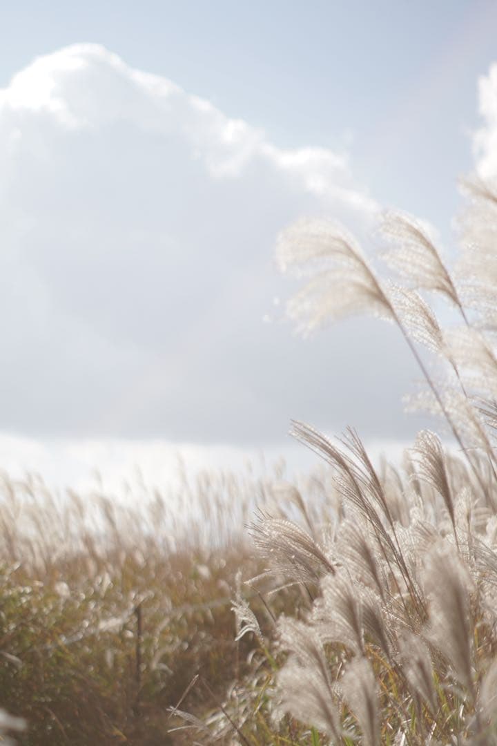 【極美品】SONY α6400 ズームレンズキット