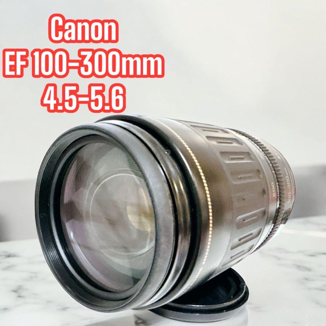 キャノン Canon EF 100-300mm 4.5-5.6 USM