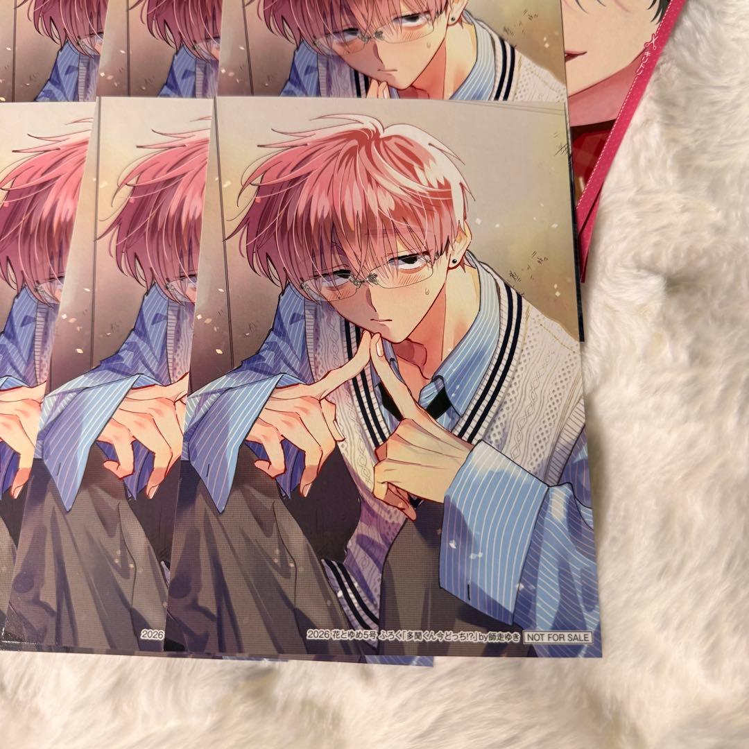 花とゆめ 5号 付録 多聞くん今どっち バレンタインブロマイド 10枚 セット