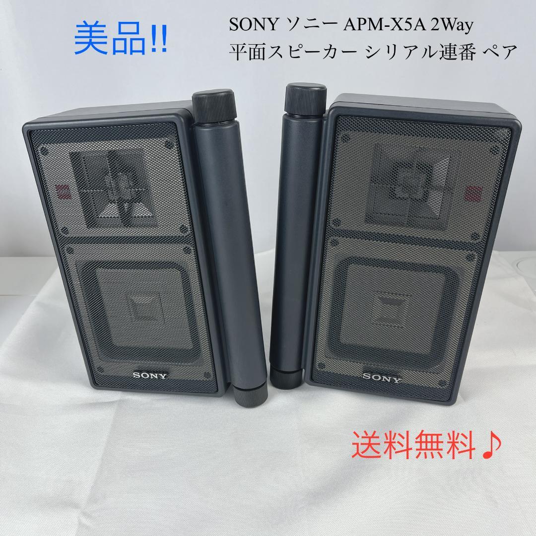美品☘️ SONY ソニー APM-X5A 2Way平面スピーカー シリアル連番