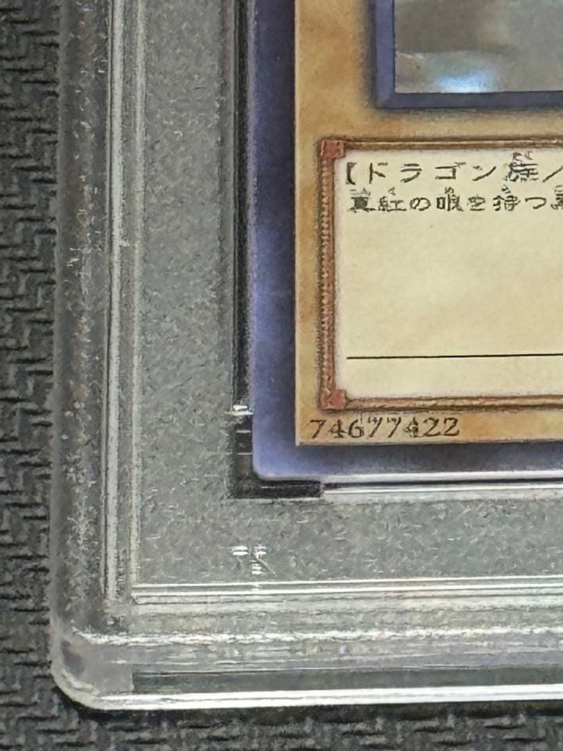 遊戯王　レッドアイズ・ブラックドラゴン　ホログラフィックレア　真紅眼の黒竜