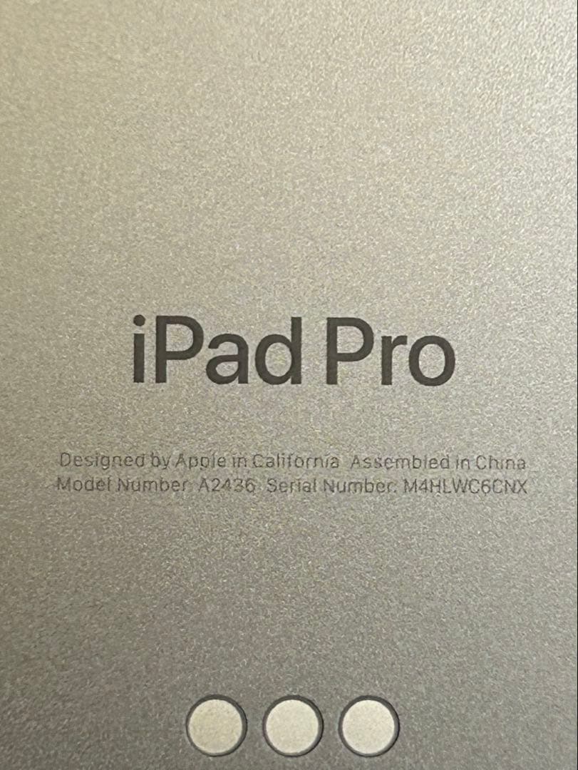 Apple iPad Pro シルバー 動作未確認