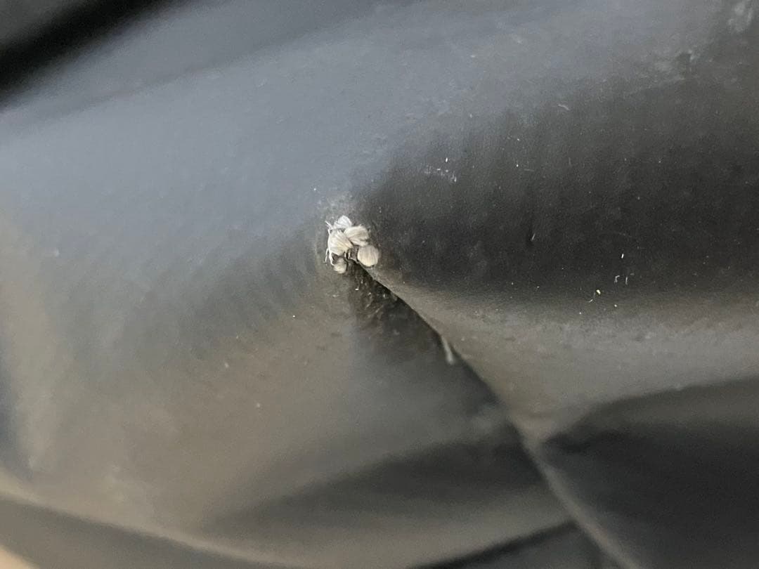 【アメリカ製】　ディマティーニ　メッセンジャーバッグ　ブラック