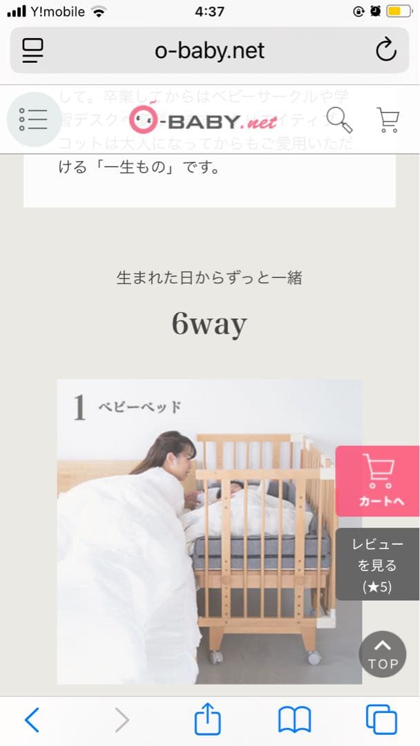 【Texas Motors】キャノピー付きクリエイティブコット