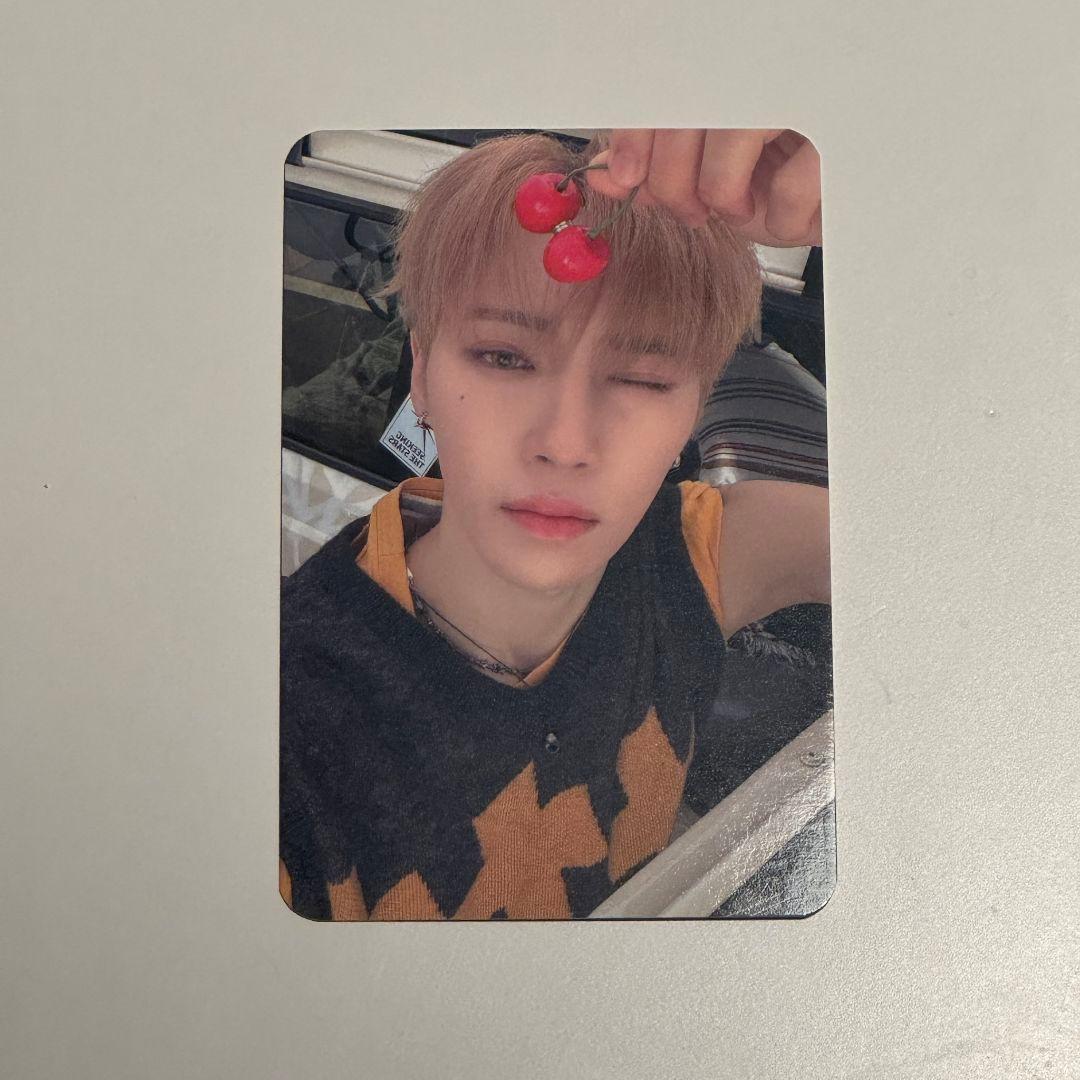 韓国　Alphadriveone　ald1　サノク　ジアハオ　アルノ　トレカ