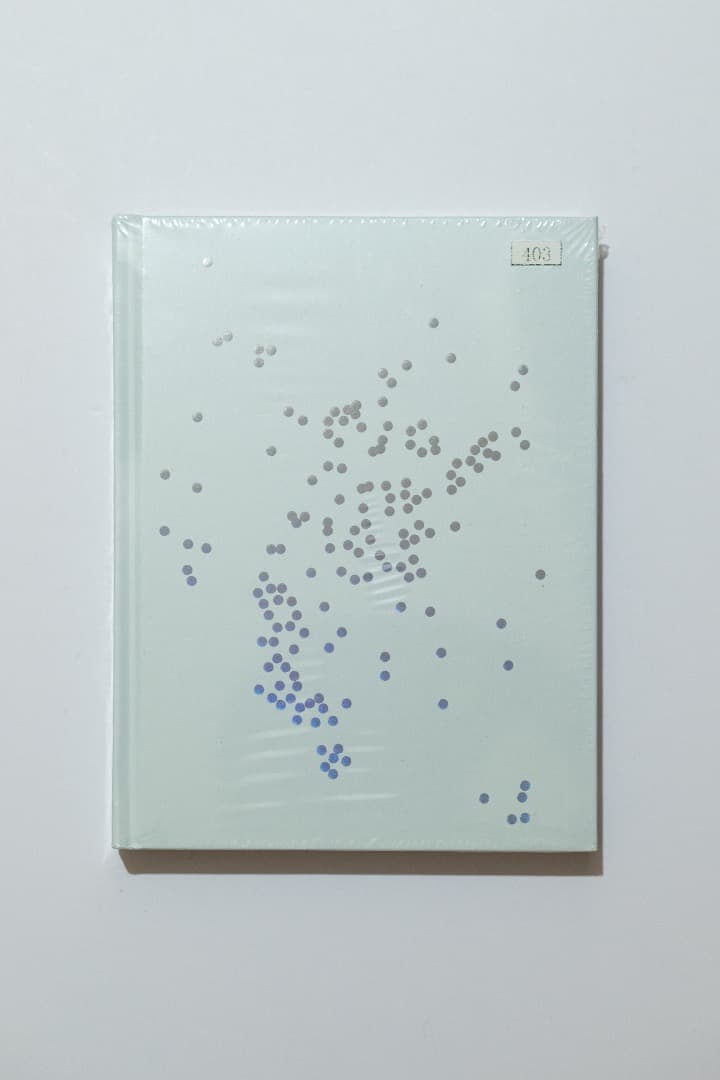 奥山由之　The Good Side (ブルー表紙）