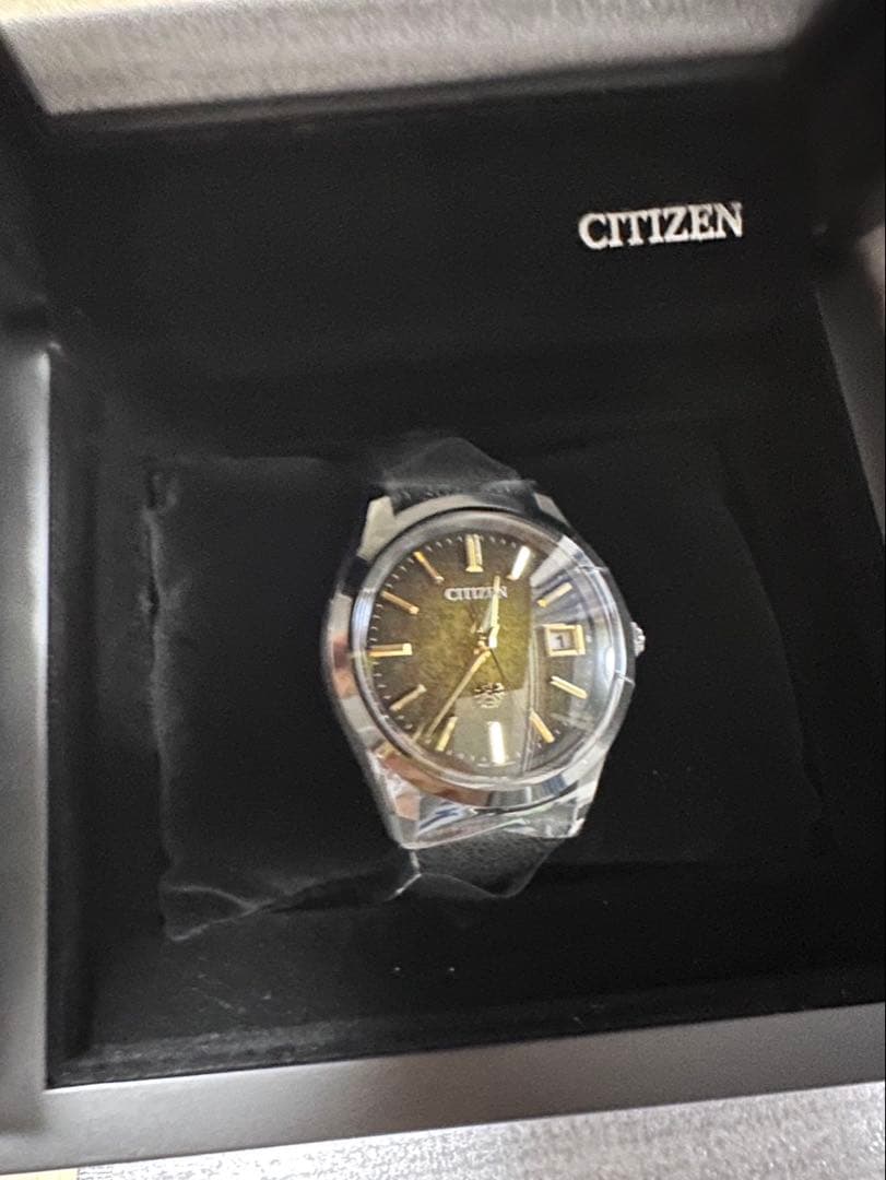 The CITIZEN（ザ・シチズン） 限定 AQ4106-18X