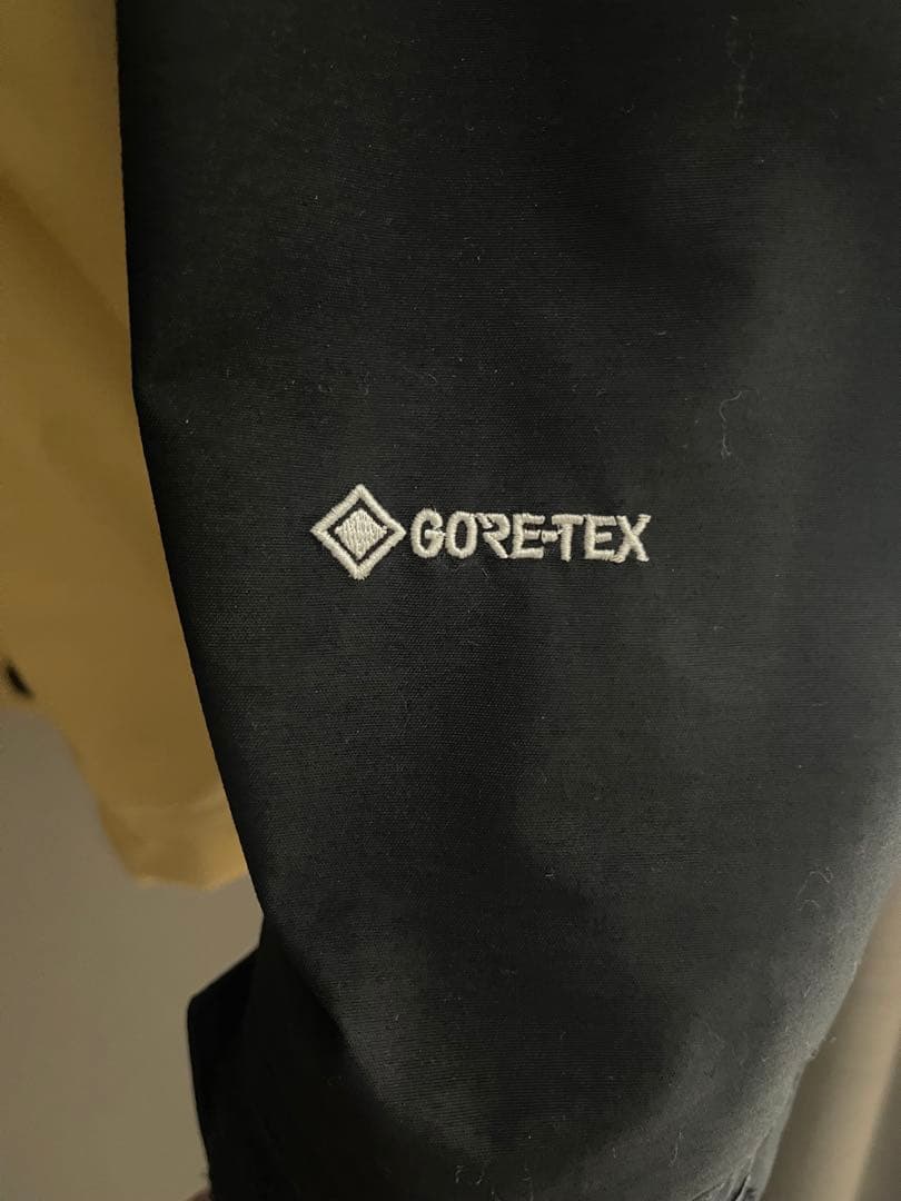 THE NORTH FACE GORE-TEX マウンテンパーカー Lケルプタン