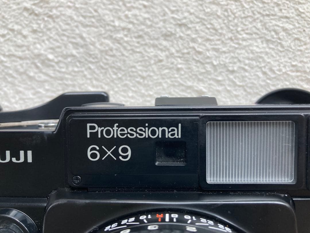 FUJI Professional 6x9 GW690Ⅱ