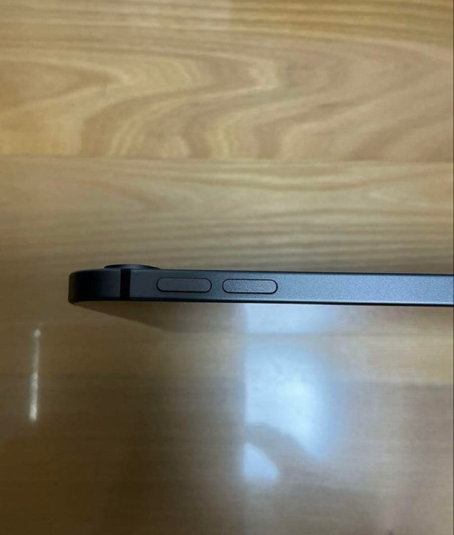 iPad Pro 11インチ 第1世代 Wi-Fi+Cellular 1TB