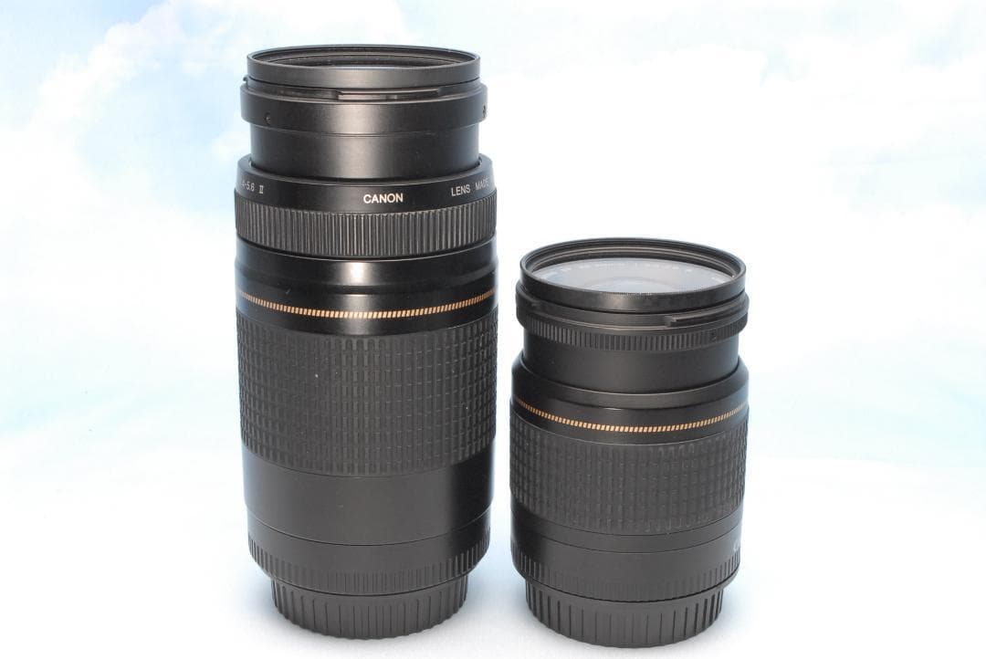 ✨Wi-Fi転送✨キヤノン EOS 8000D ダブルレンズ 超望遠 長く使える