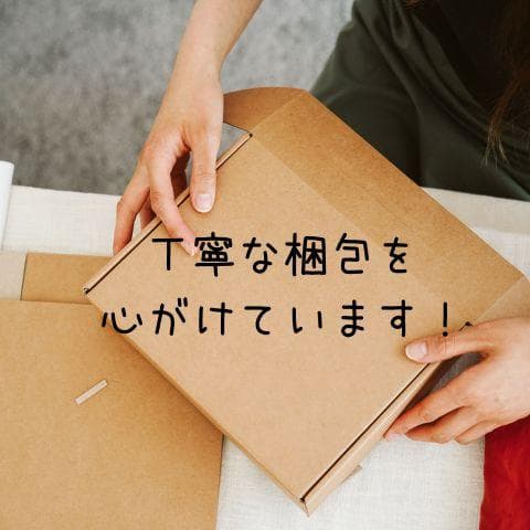 キングジム 電子メモパッド ブギーボード 4インチ カバー付き 消去ロック ak