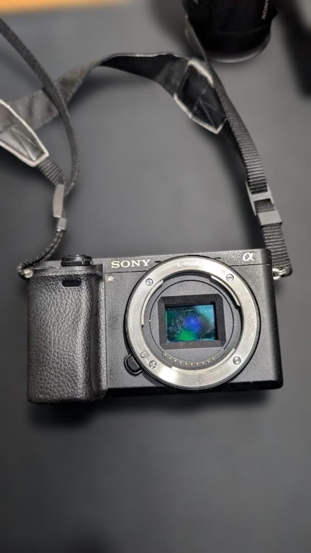 ひ*り様 SONY α6300 デジタル一眼レフカメラ レンズ18-105mm