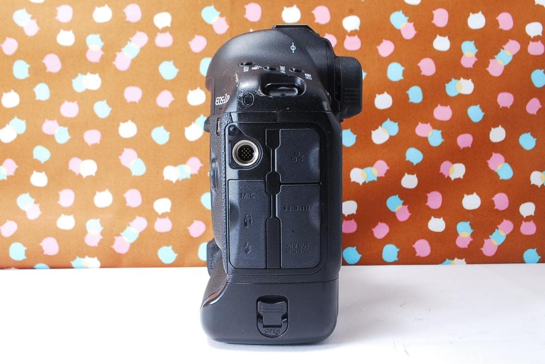 ✨元箱付き✨付属品充実✨Canon EOS-1DX ボディ