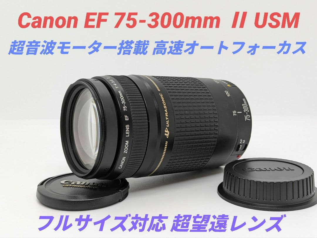 1月18日限定①OP付【超望遠】Canon EF 75-300mm Ⅱ USM