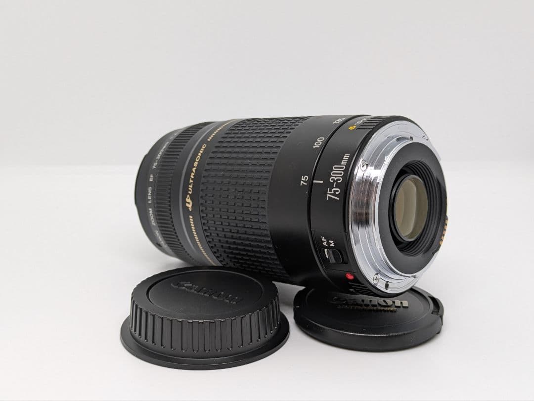 1月18日限定①OP付【超望遠】Canon EF 75-300mm Ⅱ USM