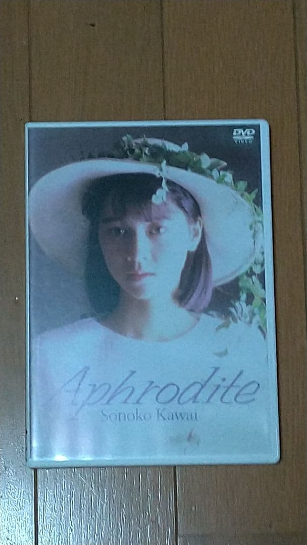 河合その子 コンプリートDVD BOX