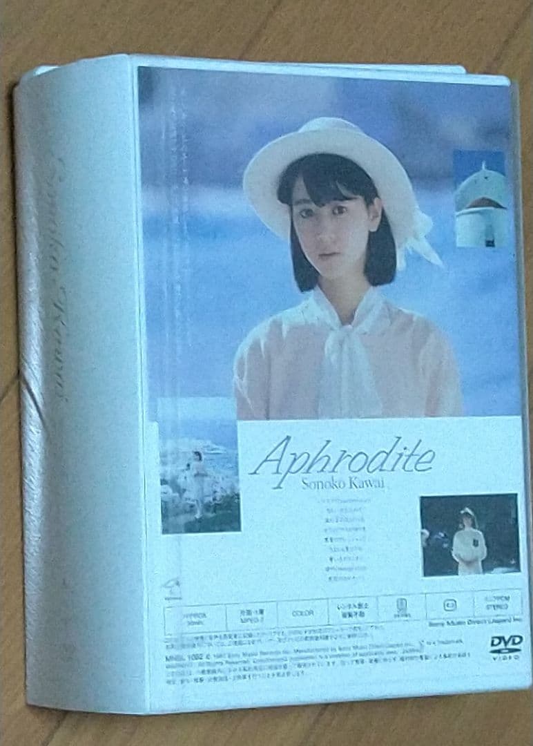 河合その子 コンプリートDVD BOX