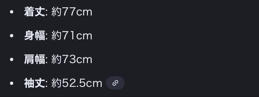 ANTHEM スノーボード ジャケット Cross AX JKT an1903