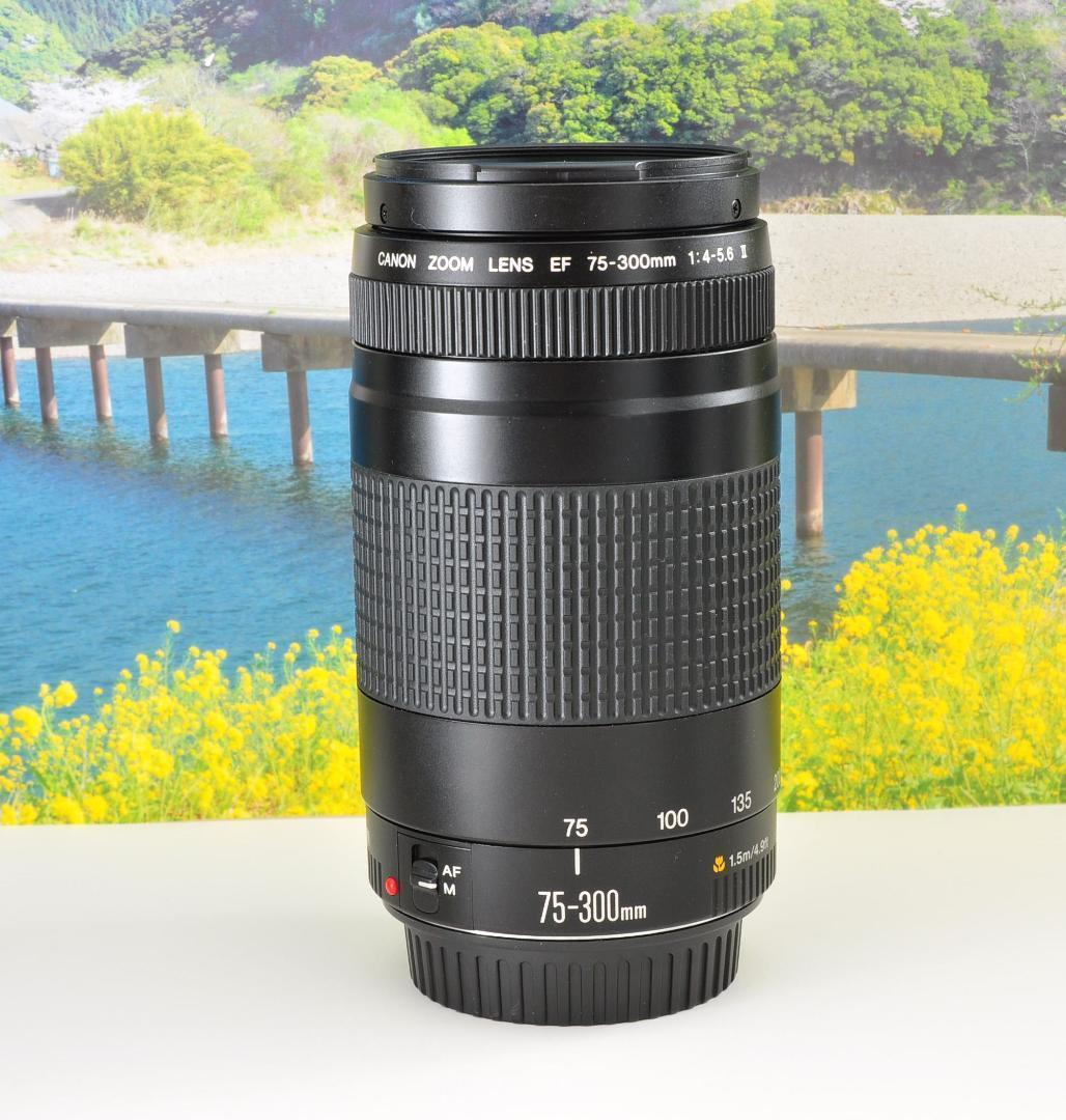 望遠はここから！ Canon キヤノン 望遠レンズ EF75-300mm