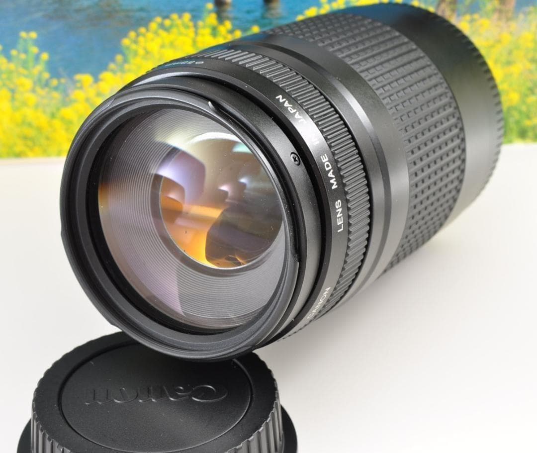 望遠はここから！ Canon キヤノン 望遠レンズ EF75-300mm