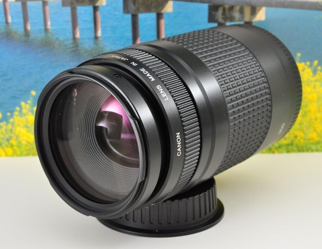 望遠はここから！ Canon キヤノン 望遠レンズ EF75-300mm
