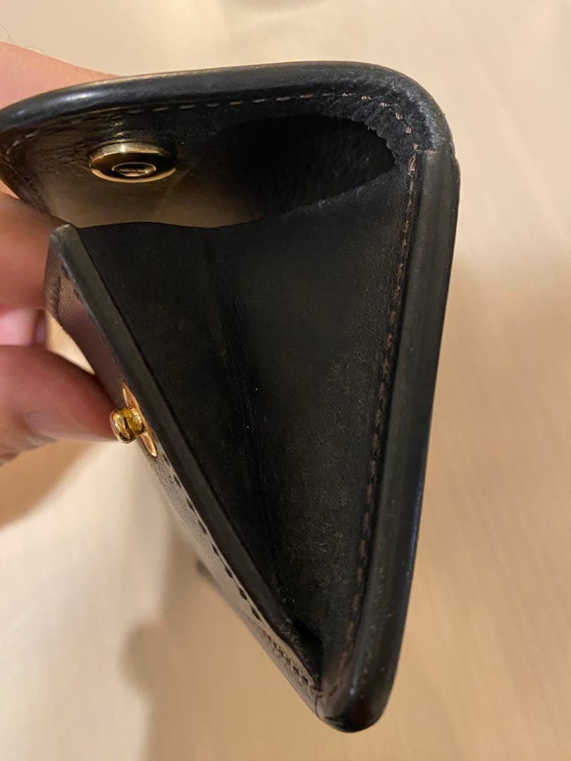 WILDSWANS タング　プエブロ　ブラック ケース