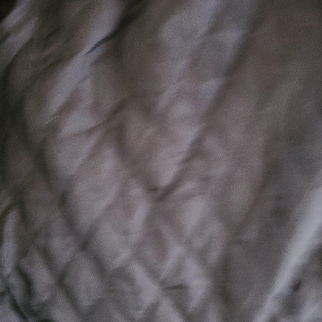 テ*主様 A BATHING APE シャーク スタジャン　ジャケット S