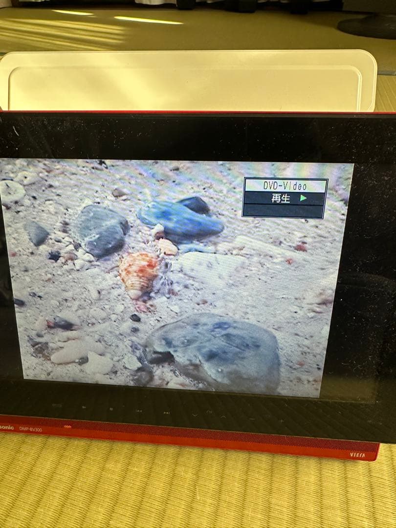 Panasonic DMP-BV300 ブルーレイ搭載ポータブル地上波テレビ