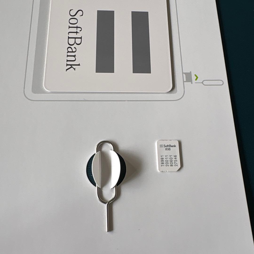 iPad Pro 第一世代 11インチ 64GB セルラーモデル