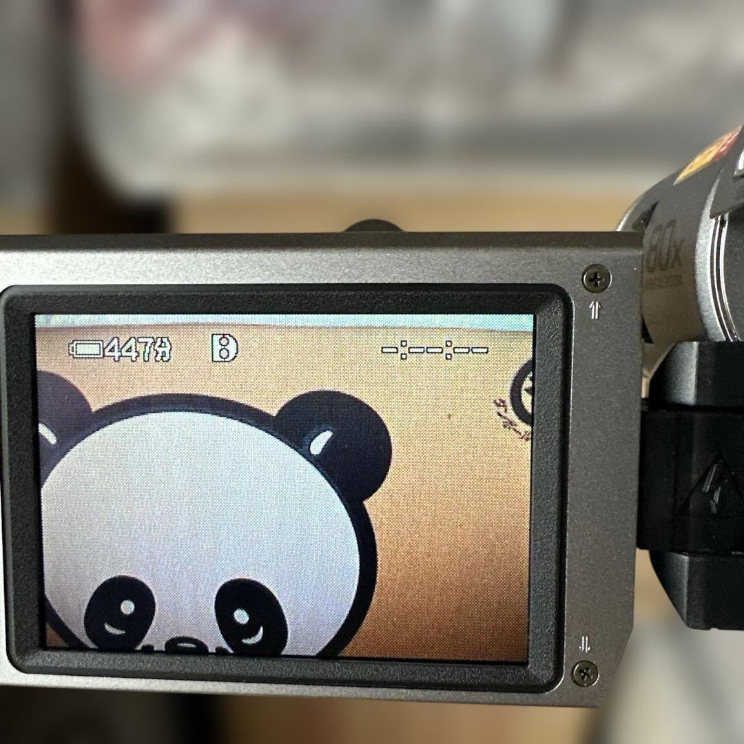 Sony DCR-TRV310 NTSC Digital8 ビデオカメラ