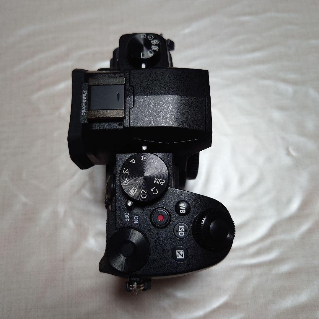 Panasonic LUMIX G99D ミラーレス一眼カメラ